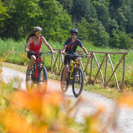 I Laghee Casette Breva E Tivano -Garden-Parking-Lake View - Bike Friendly Holiday House Colico Exteriör bild