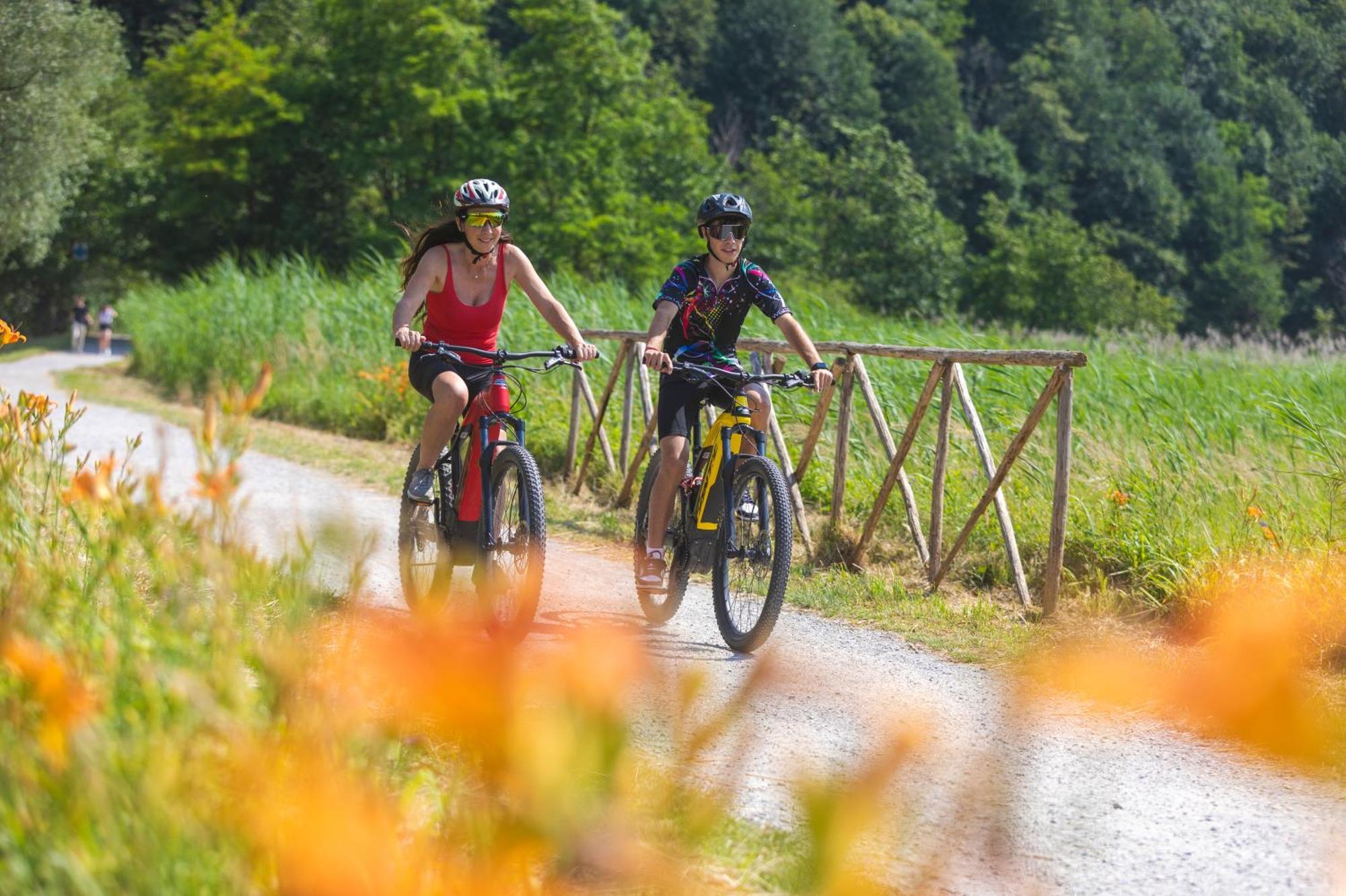 I Laghee Casette Breva E Tivano -Garden-Parking-Lake View - Bike Friendly Holiday House Colico Exteriör bild
